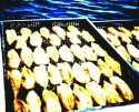 Japan Posterization 1989 studies no. 46