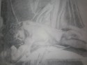 Desnudo a lapiz