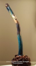 Gravitas, escultura en rama/branch wood sculpture