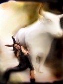 ANIMALATEX
