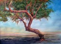 STUDY IN WATERCOLOR
