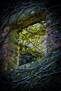 Hole in the Wall