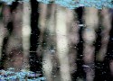 Reflection No 1
