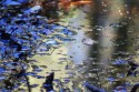Reflection No. 2