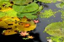 Reflection No. 3