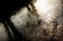 Reflection No. 4