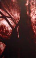 Arbol, vida y pensamiento