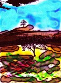 paisaje