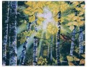 Forest 1 by Mircea Gabor