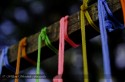Cordones de Color