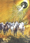 VU 17 Gallopping Horse Herd 1