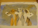 Los galgos mensajeros