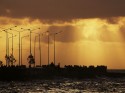 HABANA 2