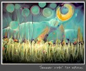 summer rain