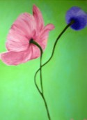 Mis Flores