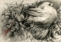 Joy, the Daily Fluttering