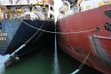 The boats