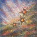 stars