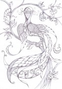 fire-bird\2