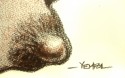 sdv