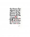 Calligraphy 20
