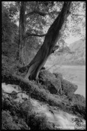 Rio Usumacinta, Mexico