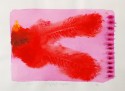 Indian Feathers