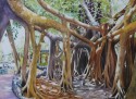 Banyan Path