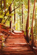 Lighted Forest