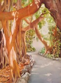Banyan in the Afternoon