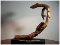 Gravitas, escultura en rama/branch wood sculpture