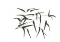 Japanese Gardens 05