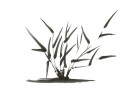 Japanese Gardens 06