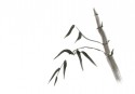 Japanese Gardens 09