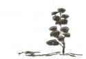 Japanese Gardens 15