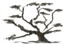 Japanese Gardens 16