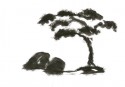 Japanese Gardens 18