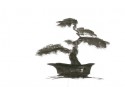 Japanese Gardens 20
