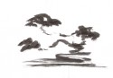 Japanese Gardens 21