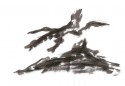 Japanese Gardens 22