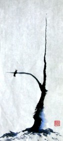 Bird On A High Branch