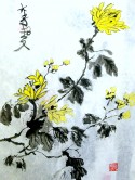 Chrysanthamums