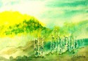 Crystal River Aspens
