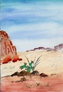 Ocotillo and Cholla, Sonora National Monument