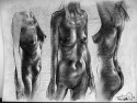 Study for Heralders