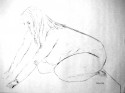 charcoal on paper IV