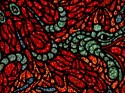 25