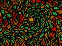 44