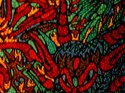 48
