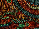 51